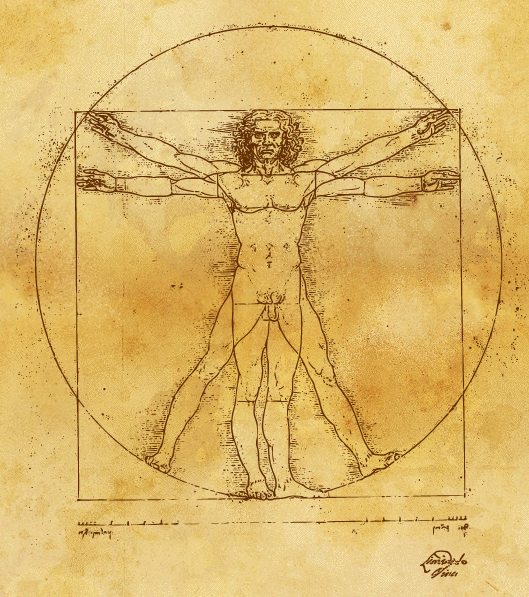 Image result for vitrivius man